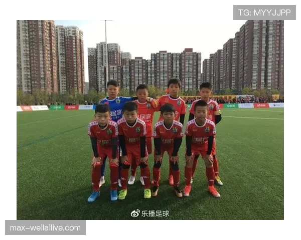 青少年足球规则：核心判罚标准与比赛流程详解