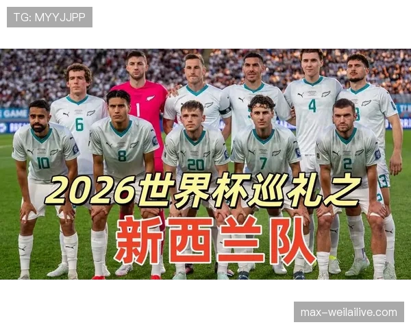 新西兰世界杯赛前深度报告